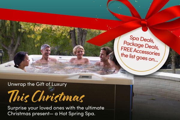 The Flash™ 7 Person Spa Pool | HotSpring Spas