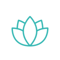 modular icon 10